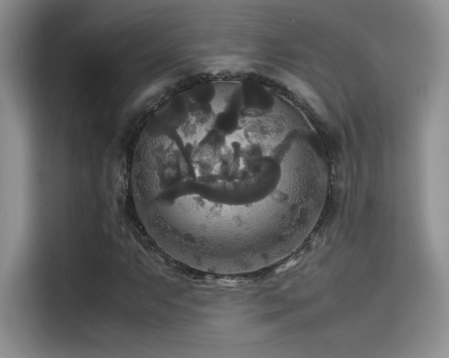 X0000114621063200910201128