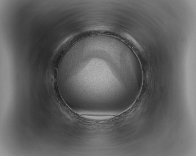 X0000114621064200910201128