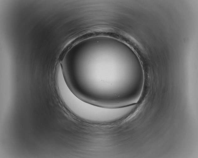 X0000114621065200910201128