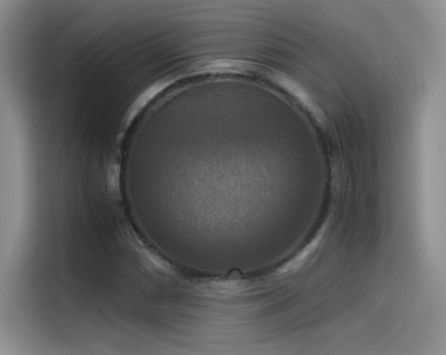 X0000114621066200910201128
