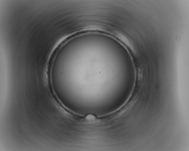 X0000114621068200910201128