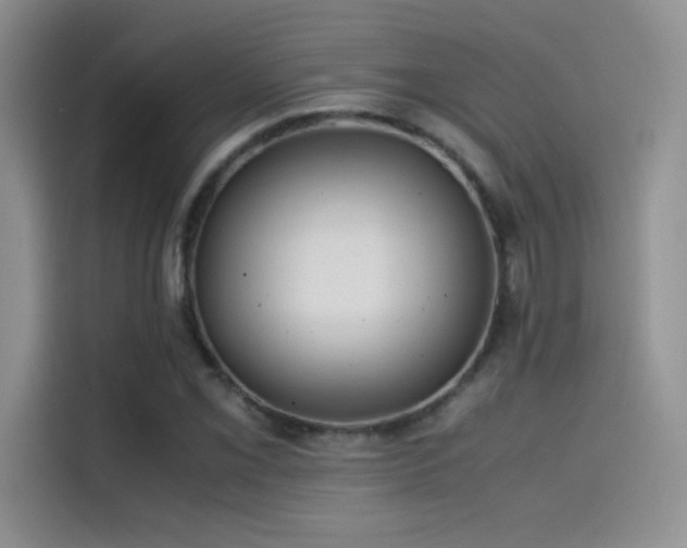 X0000114621069200910201128