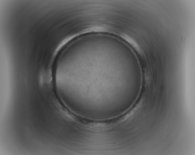 X0000114621070200910201128