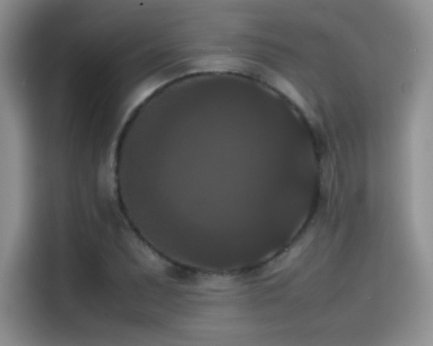 X0000114621071200910201128