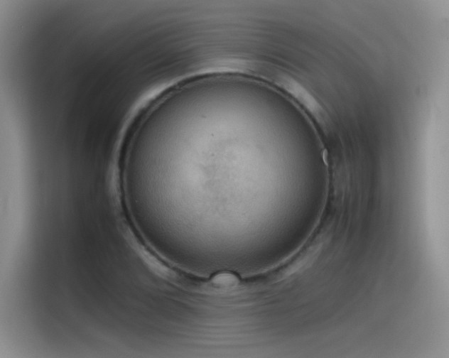 X0000114621072200910201128