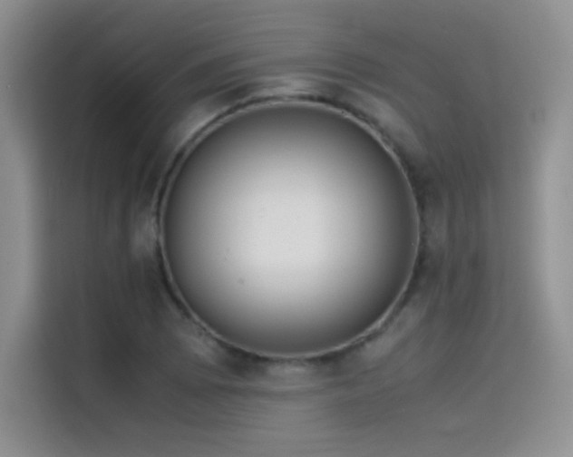 X0000114621073200910201128