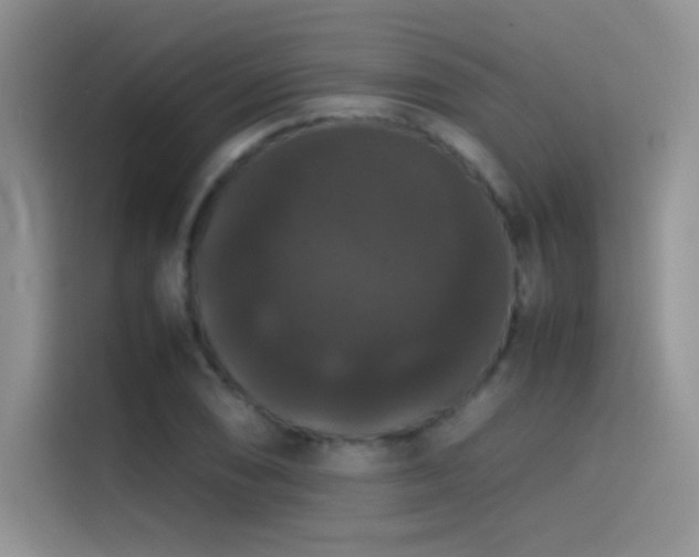 X0000114621074200910201128