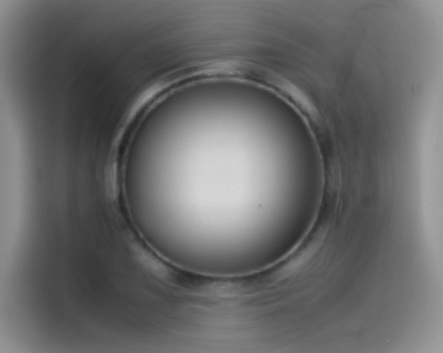 X0000114621075200910201128