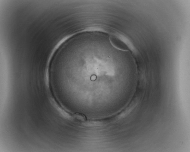 X0000114621076200910201128