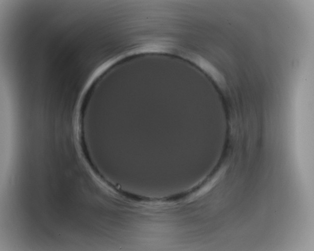 X0000114621077200910201128