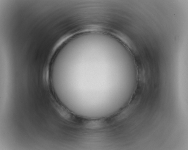 X0000114621078200910201128