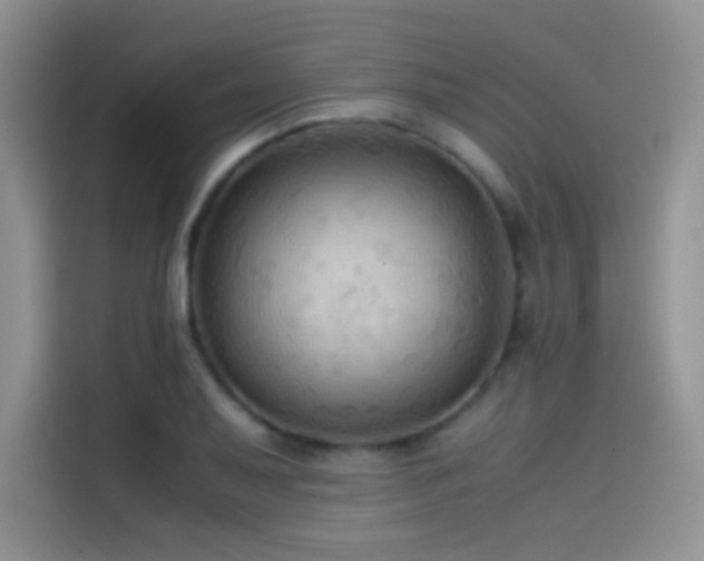 X0000114621079200910201128
