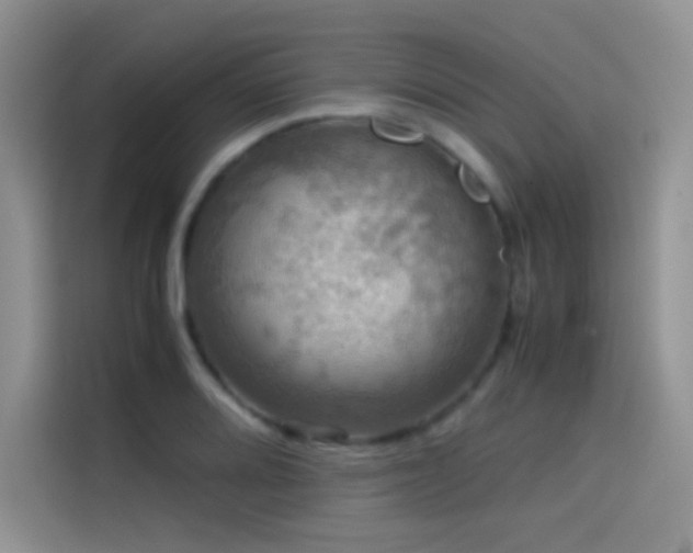 X0000114621080200910201128