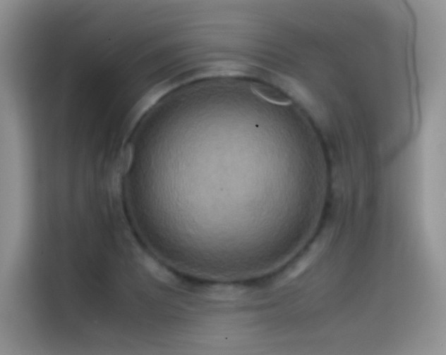 X0000114621081200910201128