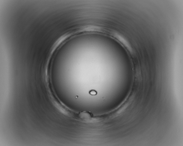 X0000114621082200910201128