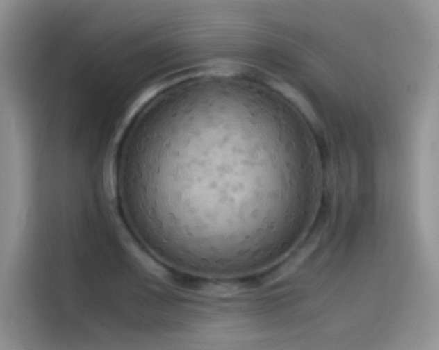 X0000114621083200910201128