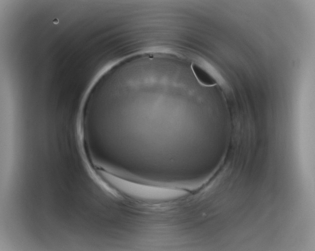X0000114621084200910201128