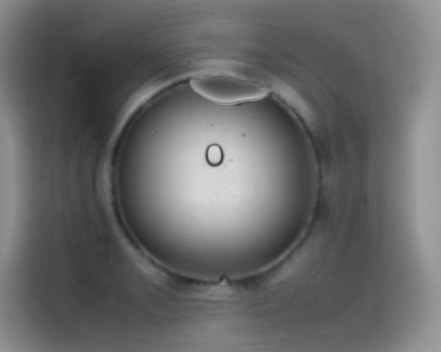 X0000114621085200910201128