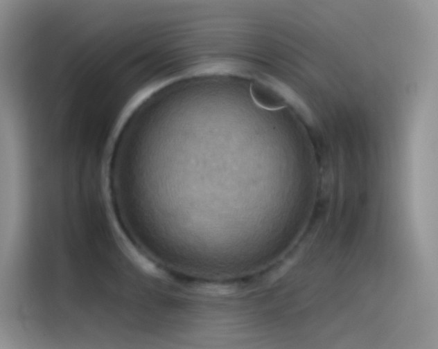 X0000114621086200910201128