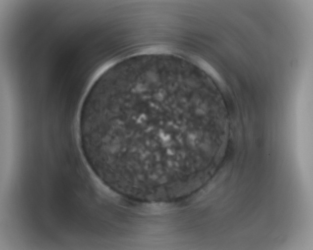 X0000114621087200910201128
