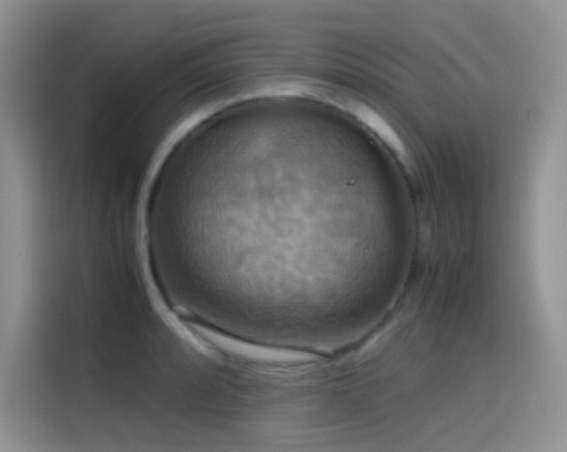 X0000114621088200910201128