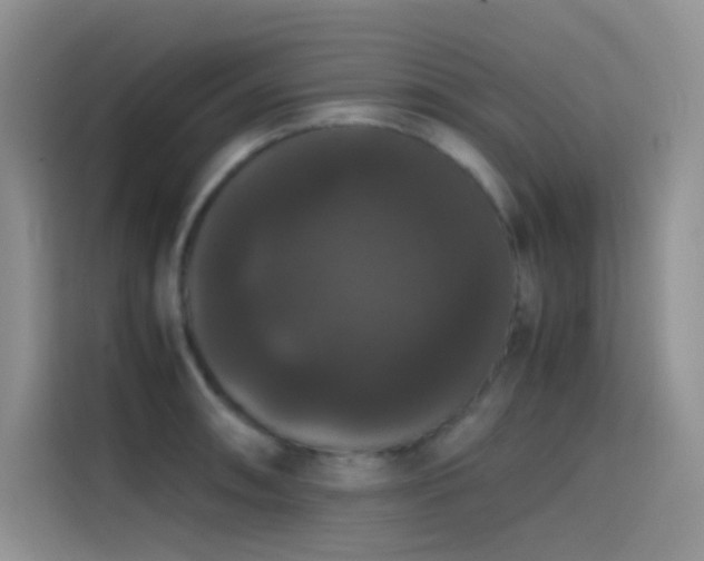 X0000114621090200910201128