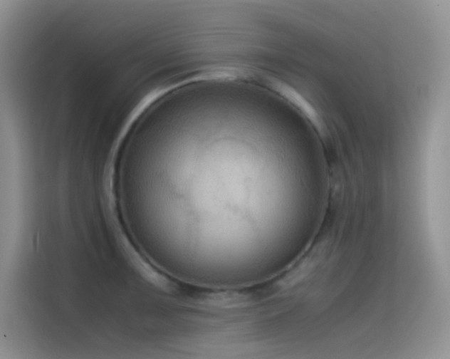 X0000114621091200910201128