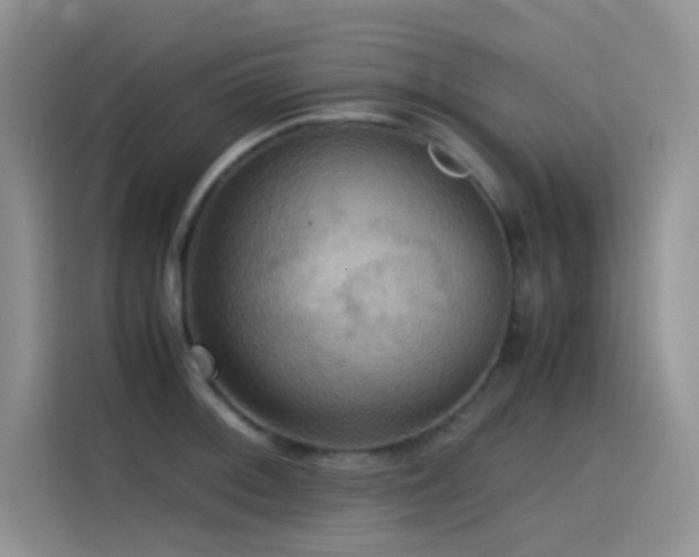 X0000114621092200910201128