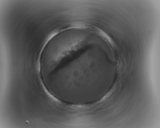 X0000114621095200910201127
