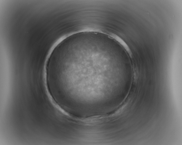 X0000114621096200910201127