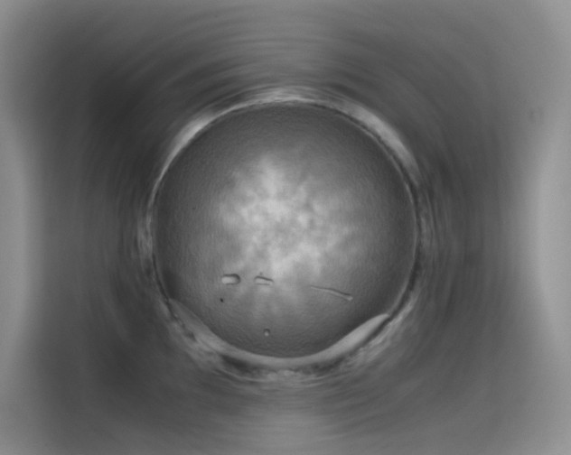 X0000114621097200910201127