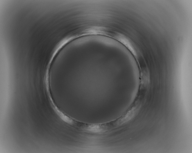 X0000114621098200910201127
