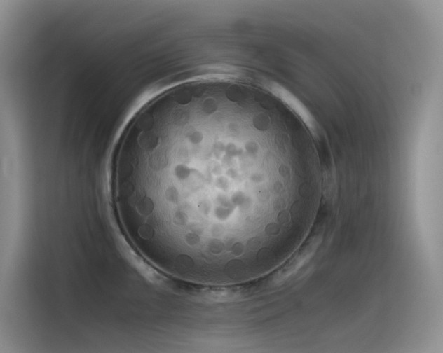 X0000114621099200910201127