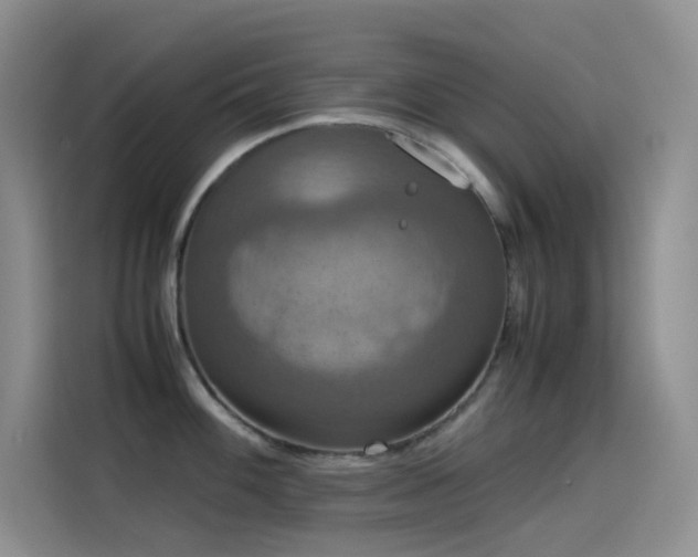X0000114621100200910201127
