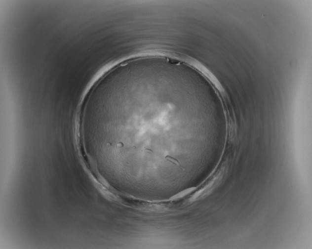 X0000114621101200910201127