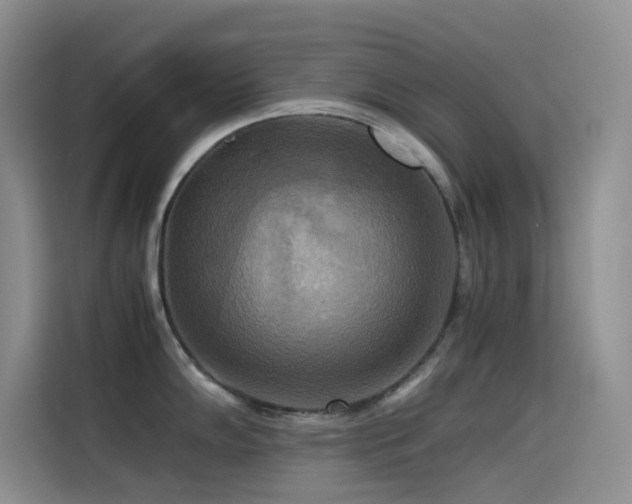 X0000114621102200910201127