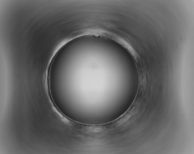 X0000114621103200910201127