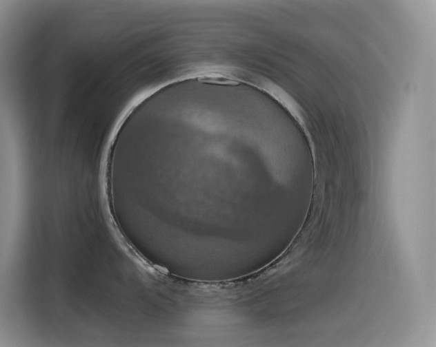 X0000114621104200910201127