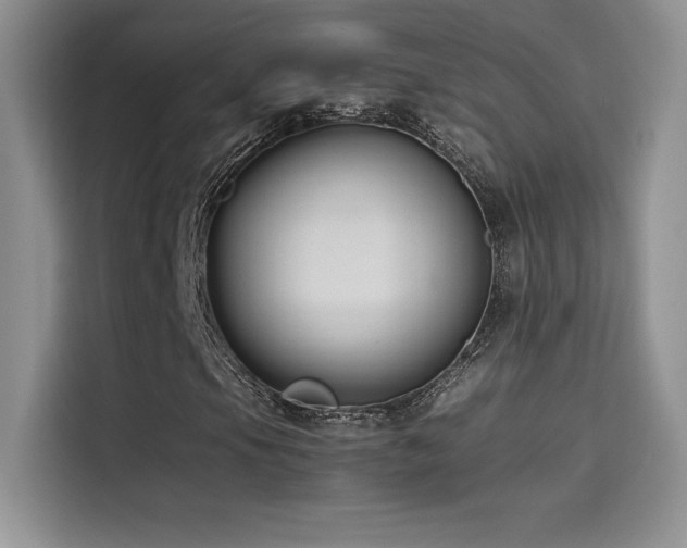 X0000114621105200910201127