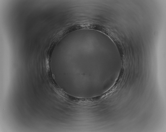 X0000114621106200910201127