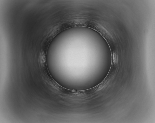 X0000114621107200910201127