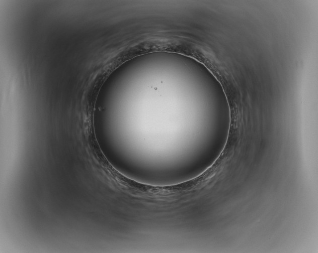 X0000114621109200910201127
