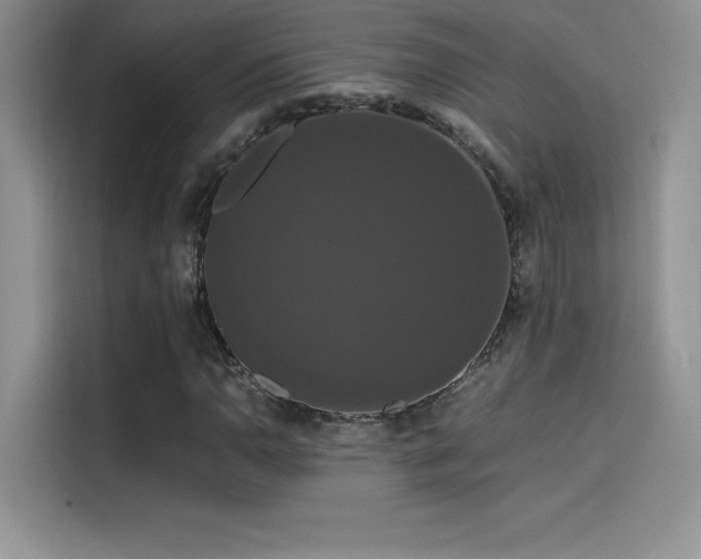 X0000114621110200910201127