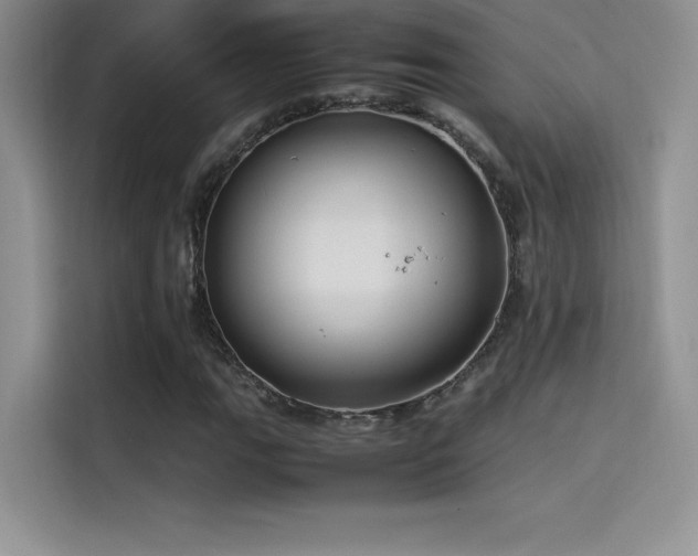 X0000114621111200910201127