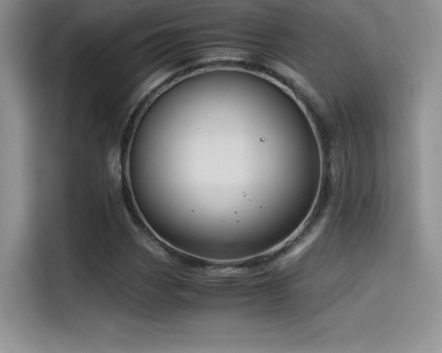 X0000114621113200910201127