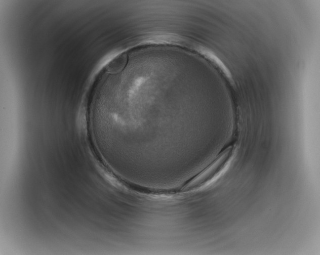 X0000114621114200910201127