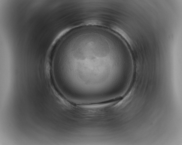 X0000114621115200910201127
