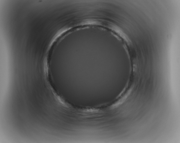 X0000114621117200910201127