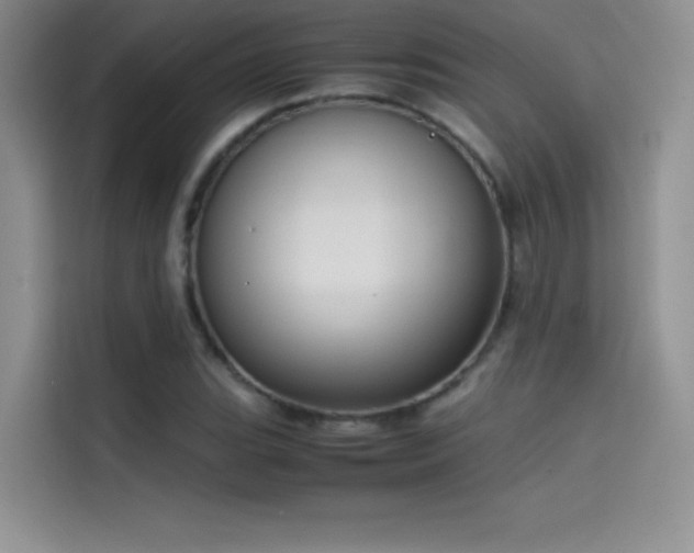 X0000114621119200910201127
