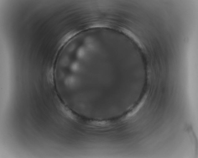 X0000114621121200910201127